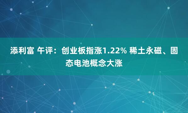 添利富 午评：创业板指涨1.22% 稀土永磁、固态电池概念大涨