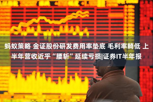 蚂蚁策略 金证股份研发费用率垫底 毛利率畸低 上半年营收近乎“腰斩”延续亏损|证券IT半年报