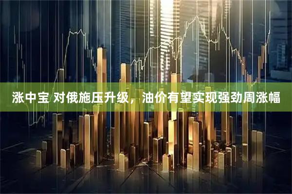 涨中宝 对俄施压升级，油价有望实现强劲周涨幅