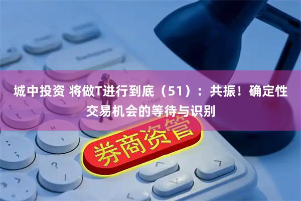 城中投资 将做T进行到底（51）：共振！确定性交易机会的等待与识别